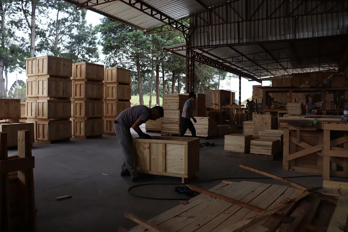 Caixas de madeira para exportação